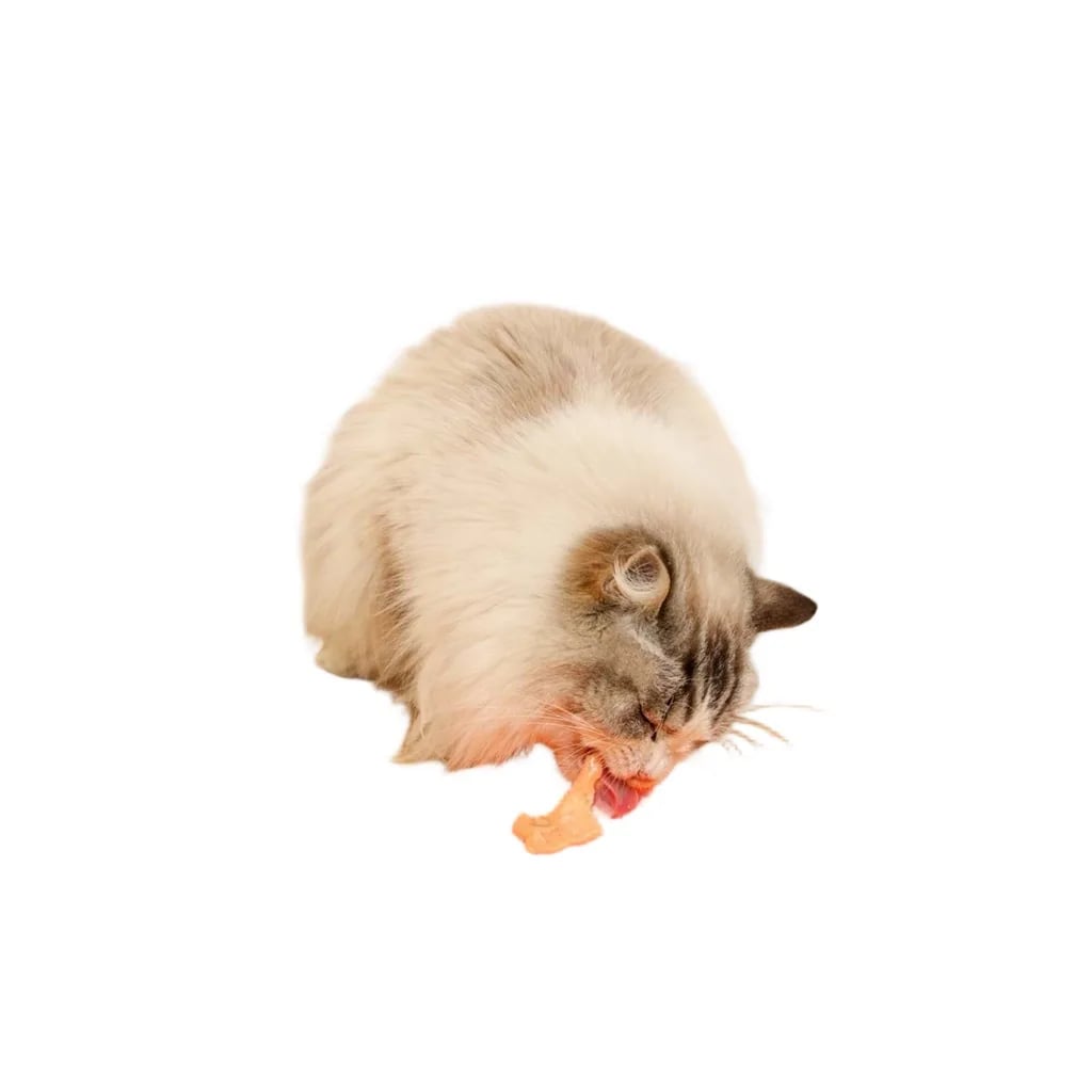M-PETS CREAMY TON BALIKLI KARİDESLİ KEDİ ÖDÜLÜ 4X15GR X 10