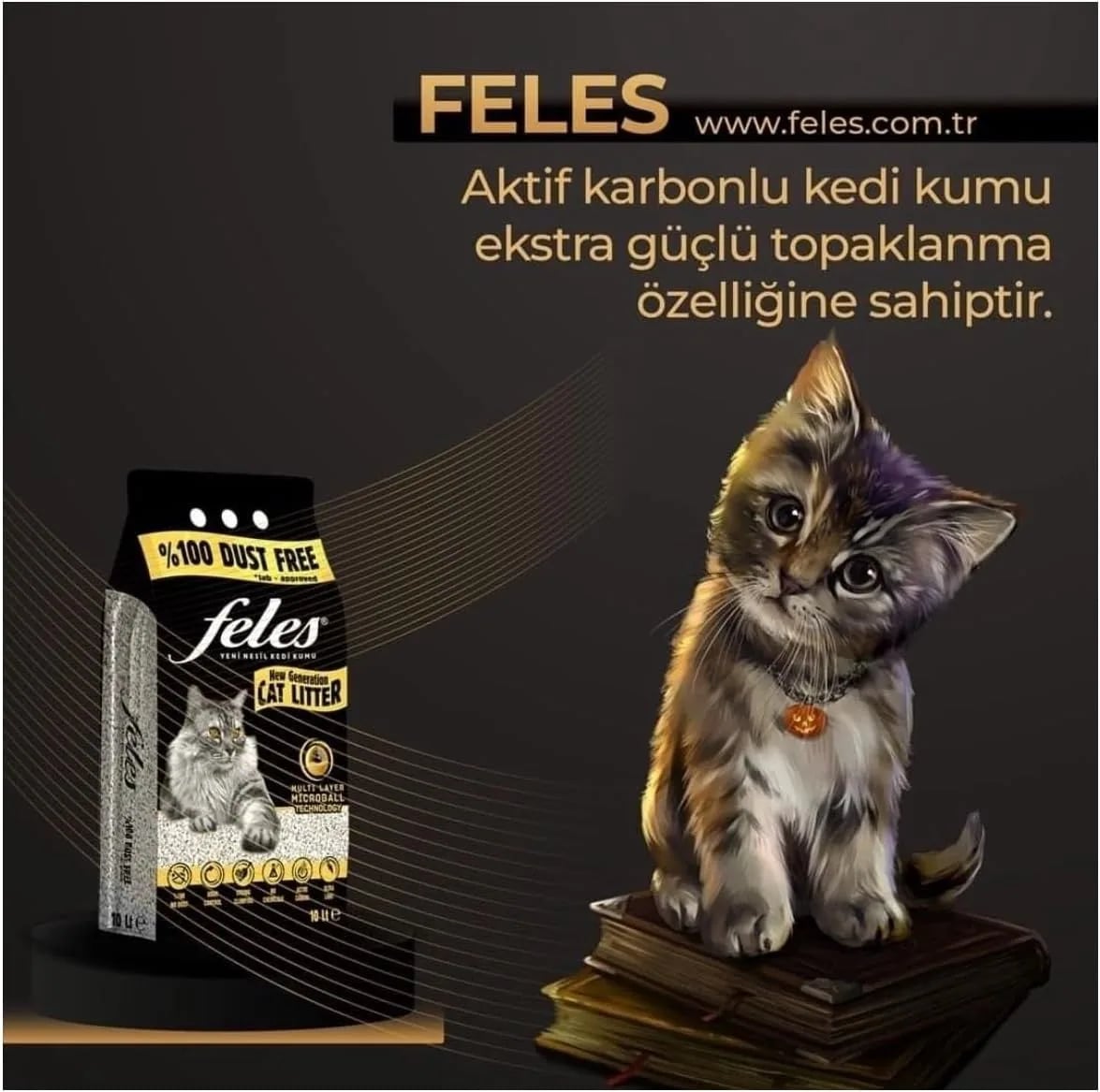 Feles %100 Tozsuz Kedi Kumu (10 L)