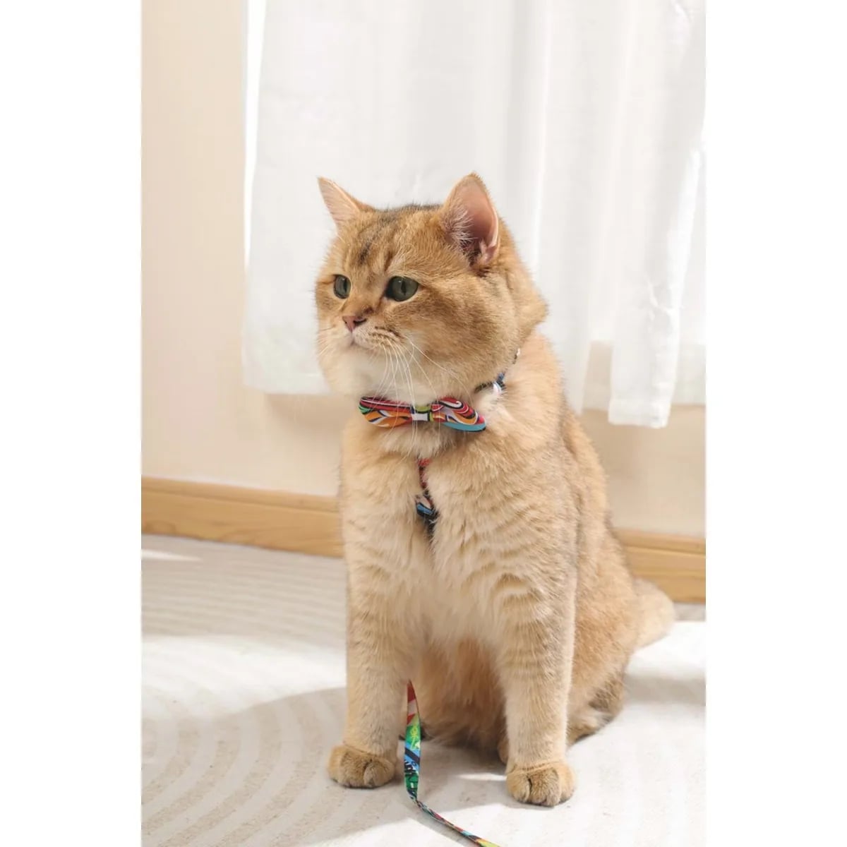 M-PETS URBAN STYLE FREESTYLE PAPYON (M)