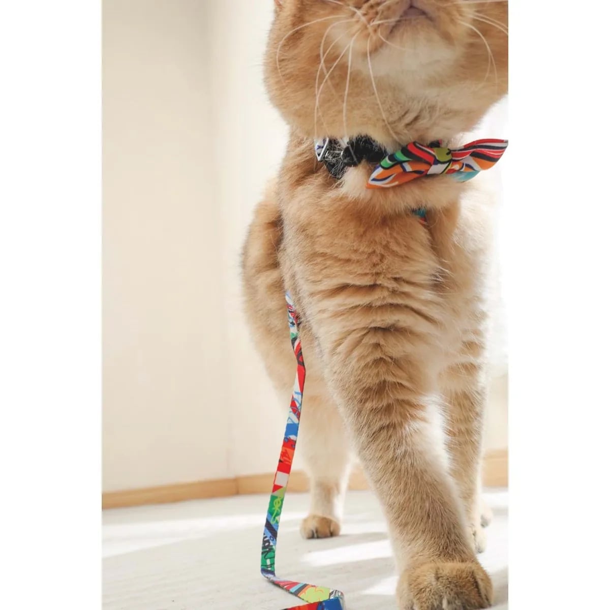 M-PETS URBAN STYLE FREESTYLE PAPYON (M)