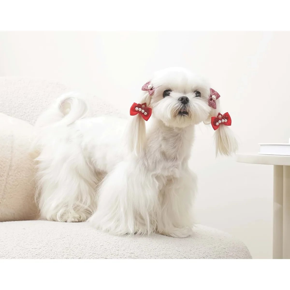 M-PETS GLAM KÖPEKLER İÇİN AKSESUAR TOKA RED