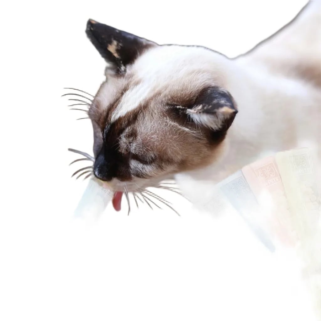 M-PETS Creamy Karışık Kedi Ödülü 4x15gr x 8 Adet