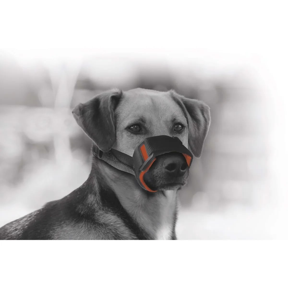 M-PETS SOFT BEZ AĞIZLIK (M)