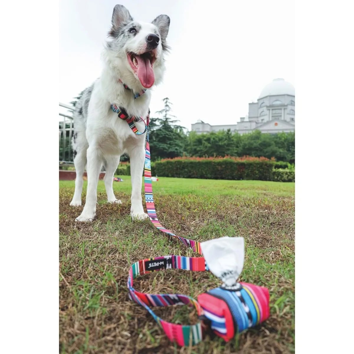 M-PETS URBAN STYLE JAZZ STRIPES WASTE BAGS DİSPENSER