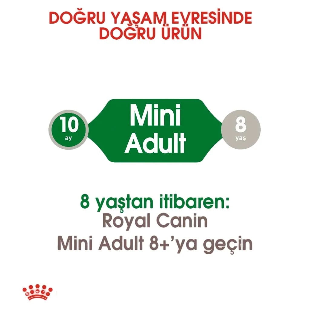 Royal Canin Mini Adult Küçük Irk Yetişkin Köpek Maması 4kg
