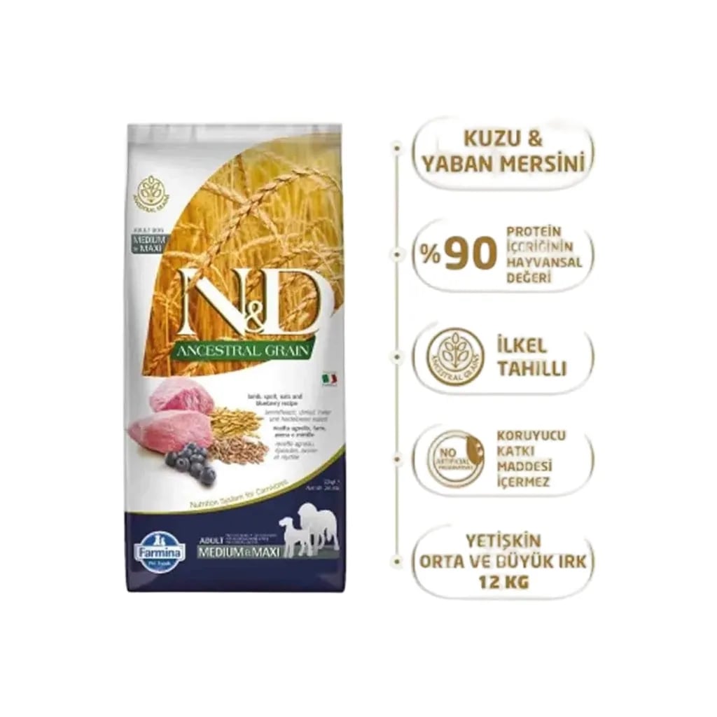 ND Ancestral Grain Düşük Tahıllı Kuzu Eti ve Yaban Mersinli Orta ve Büyük Irk Yetişkin Köpek Maması 12kg