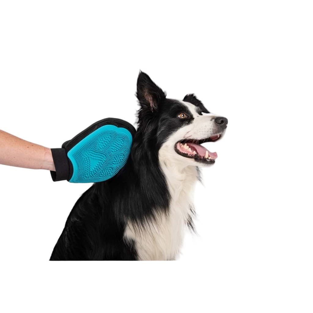 M-PETS HAIRDO GROOMING TÜY TOPLAMA ELDİVENİ